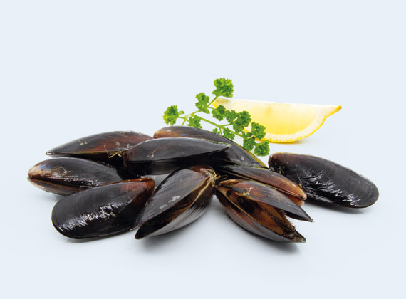 Artikelbild Miesmuscheln 7707