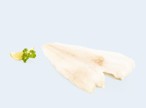 Artikelbild Heilbuttfilet 7755