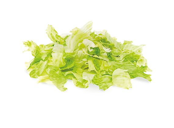 Artikelbild Eisbergsalat 7802