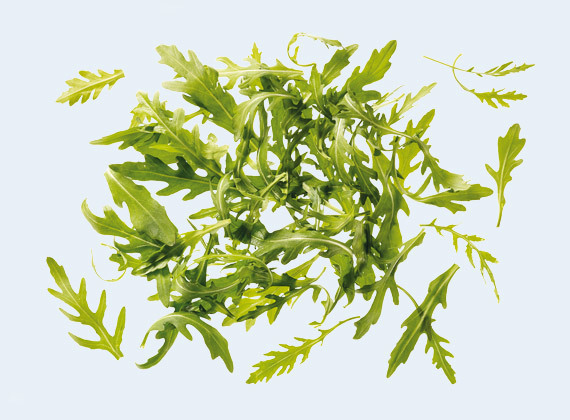 Artikelbild Rucola 7807