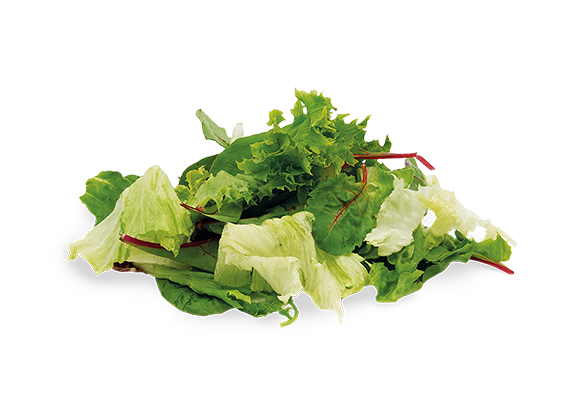 Artikelbild Baby Leaf Salatmischung 7819