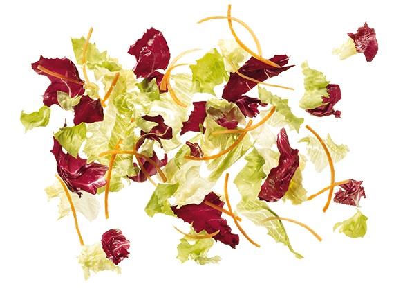 Artikelbild Donald Salatmischung 7821