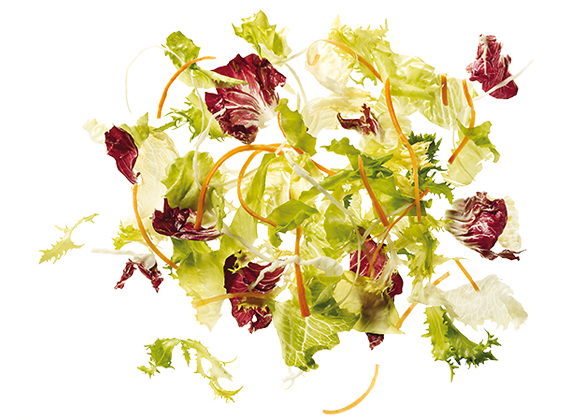 Artikelbild Alpha Salatmischung 7830