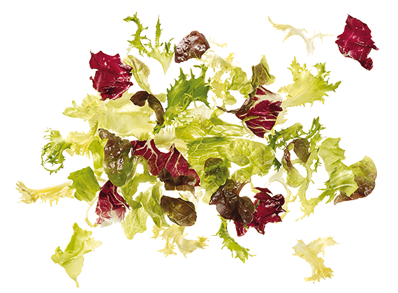 Artikelbild Bravo Salatmischung 7831