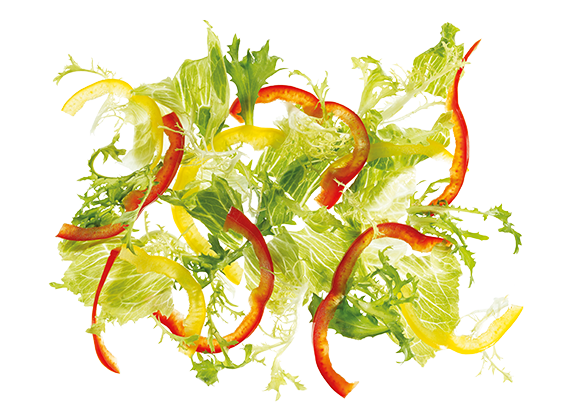 Artikelbild Fitness Salatmischung 7833