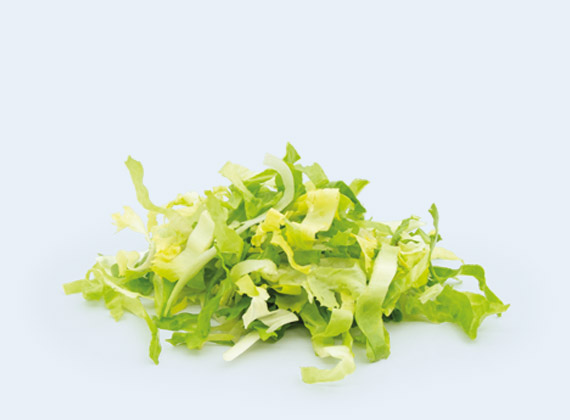 Artikelbild Endiviensalat 7891