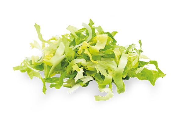 Artikelbild Endiviensalat 7891