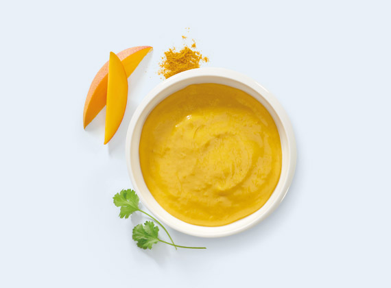 Artikelbild Curry Mango Topping 8944