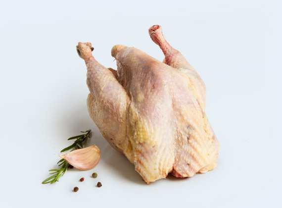 Artikelbild Fasan 9202