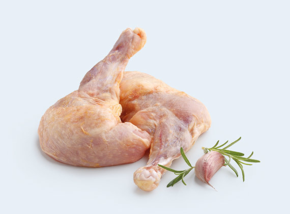 Artikelbild Perlhuhn Supreme 9205