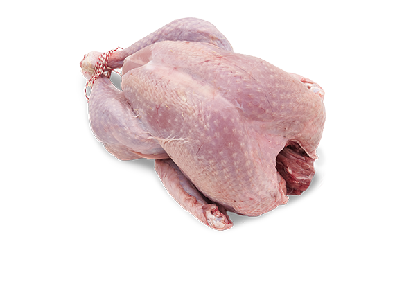 Artikelbild Pute 1119