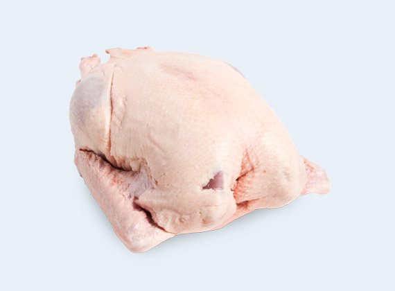 Artikelbild Bauernente 1817