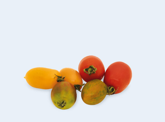 Artikelbild Datterino Cocktailtomaten 35519