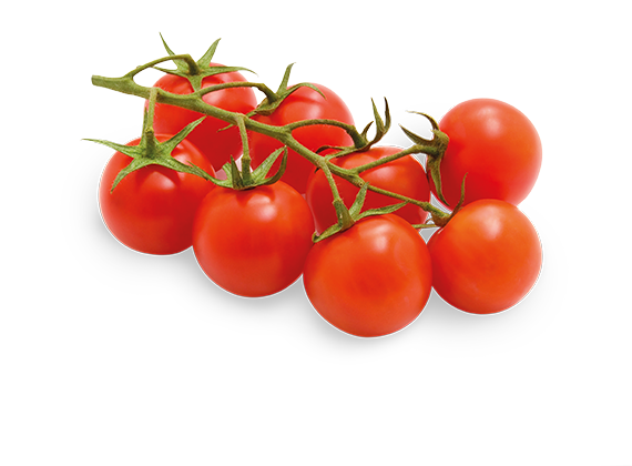 Artikelbild Bio Strauchtomaten 35651