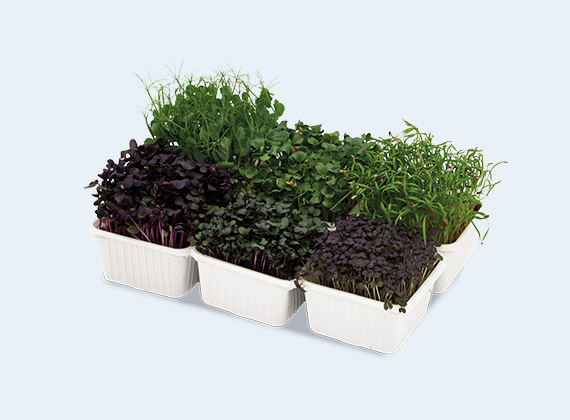 Artikelbild Alpin Mix Kresse 35928