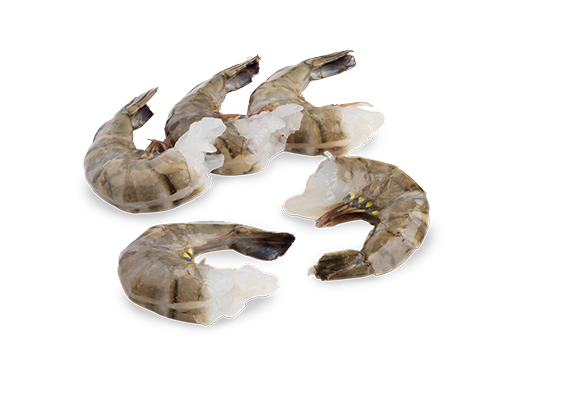 Artikelbild Black Tiger Garnelen 13/15 7247