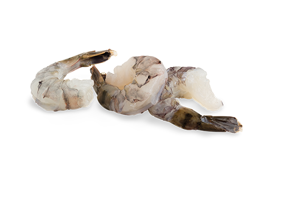 Artikelbild Black Tiger Garnelen 8/12 7251