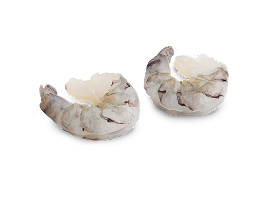 Artikelbild Black Tiger Garnelen 13/15 7255