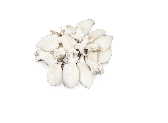 Artikelbild Sepia 40/60 7351