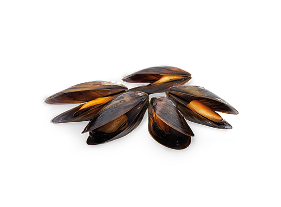 Artikelbild Miesmuscheln 7410