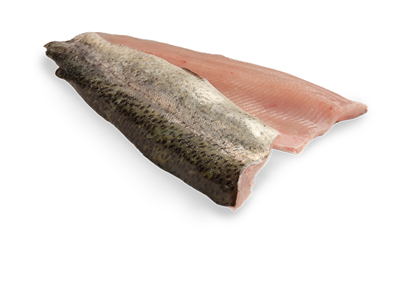 Artikelbild Forellenfilet 7455