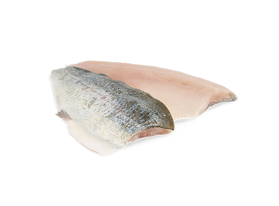 Artikelbild Forellenfilet 7665
