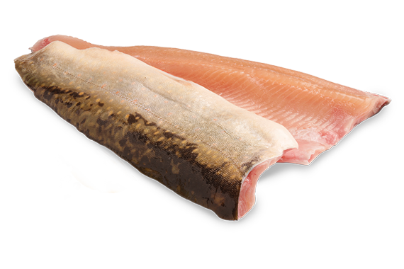 Artikelbild Bio Saiblingsfilet 7680