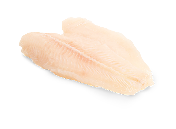 Artikelbild Pangasiusfilet 19276