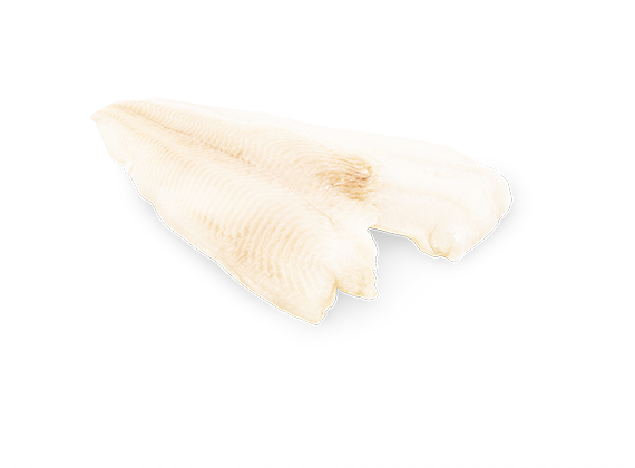 Artikelbild Heilbuttfilet 7755