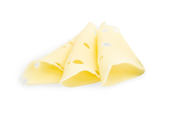 Artikelbild Emmentalerscheiben 8903